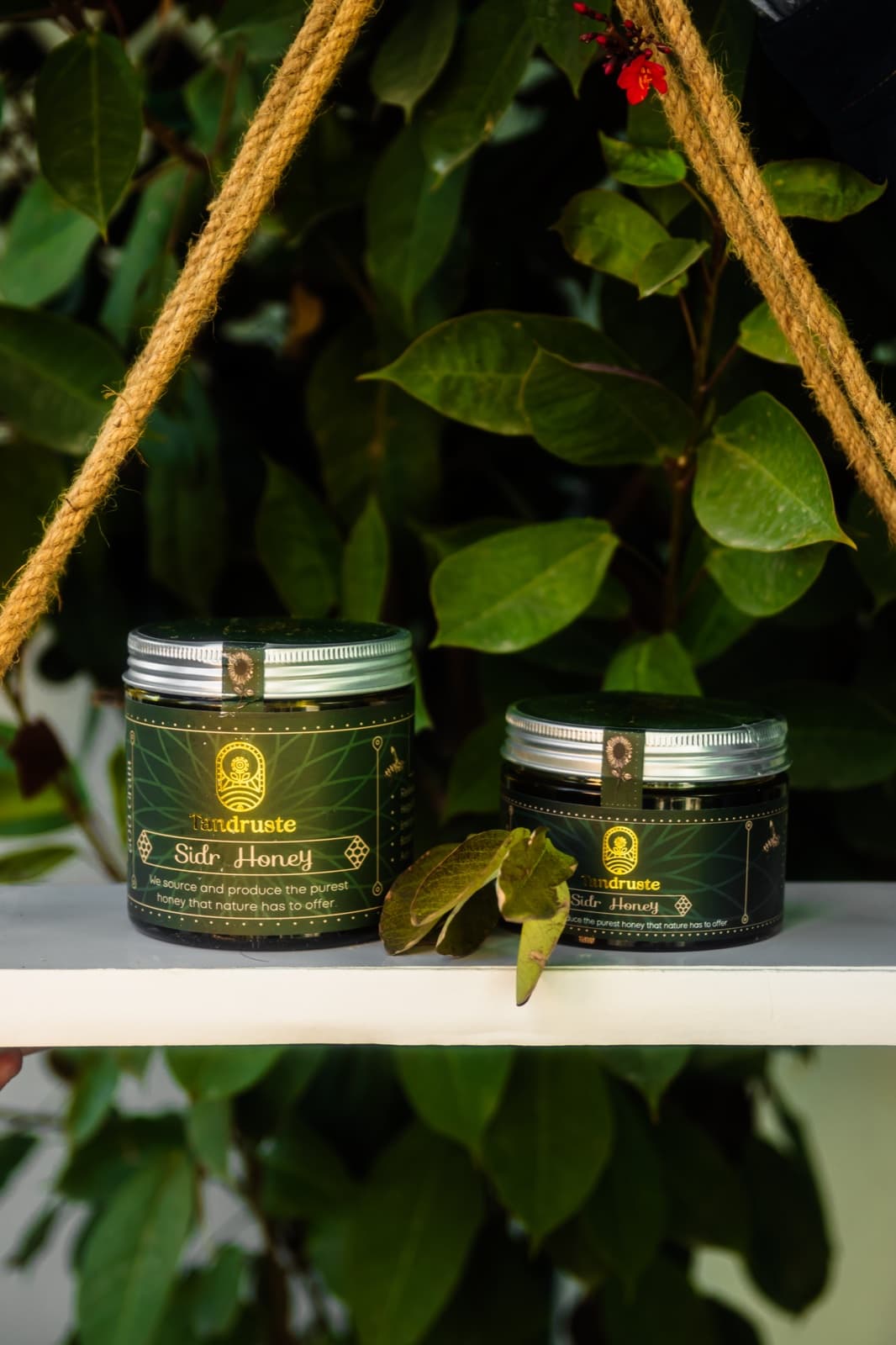 Tandruste product photograph 6
