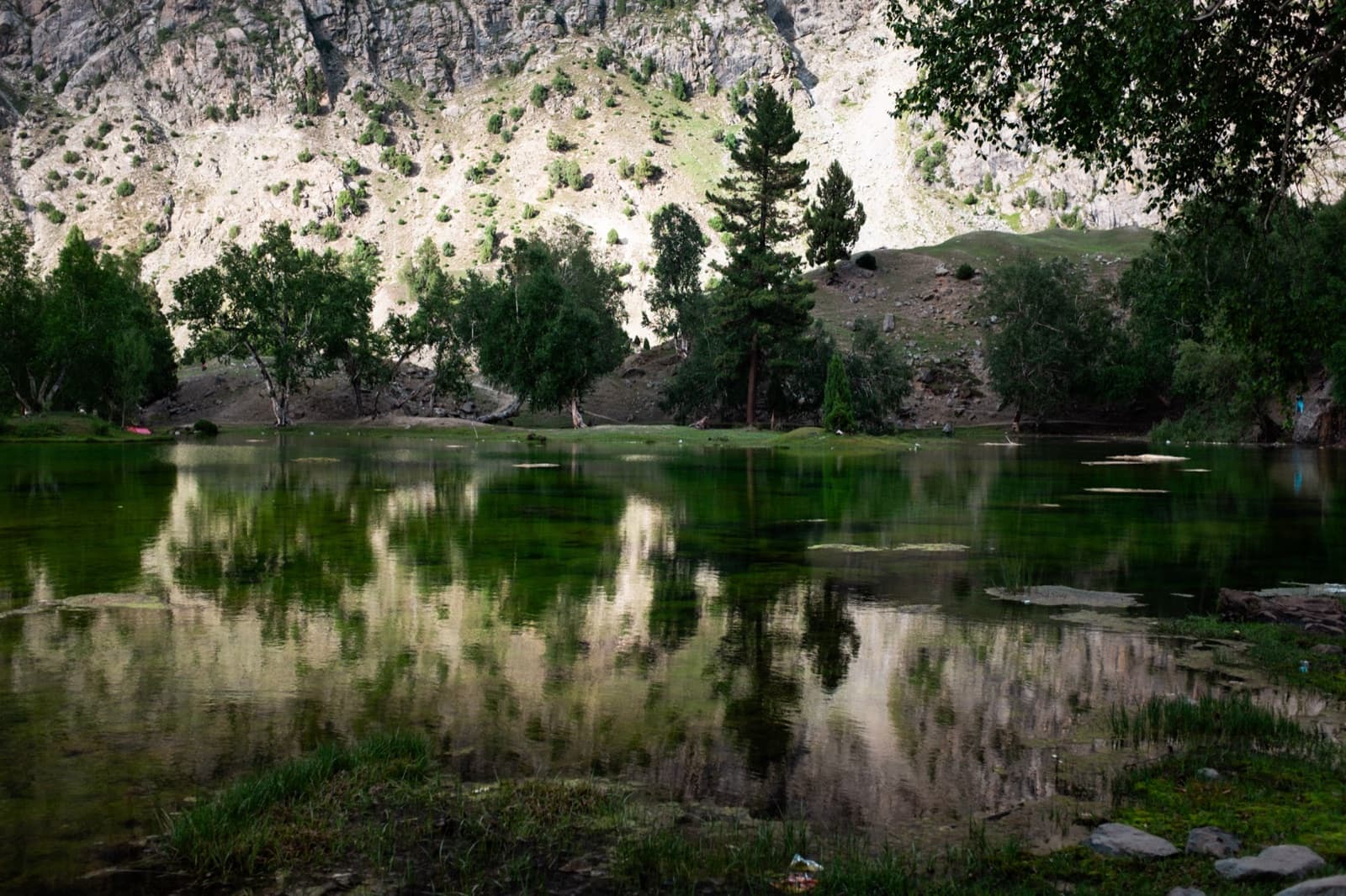 North Trip — 6